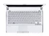 Sony Vaio Vgn-Tt25Gn