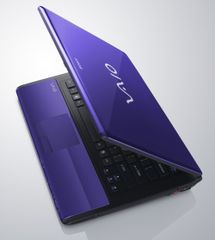  Sony Vaio Vpc-B11Fgx 