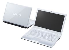  Sony Vaio Vpc-Cw15Fa 