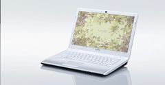 Sony Vaio Vpc-Cw17Fx 