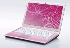  Sony Vaio Vpc-Cw22Fx 