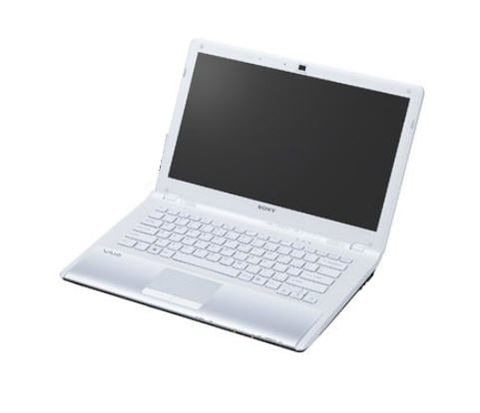 Sony Vaio Vpc-Cw26Fh