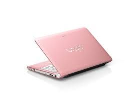 Sony Vaio Vpc-Ec490X Cto