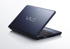  Sony Vaio Vpc-Eg3Bfx 