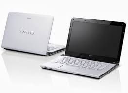 Sony Vaio Vpc-Se13Fd