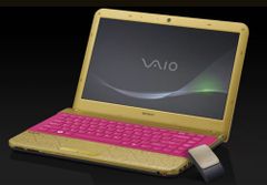  Sony Vaio Vpc-Se2Efx 