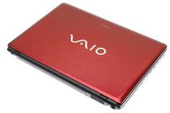  Sony Vaio Vpc11Fm 