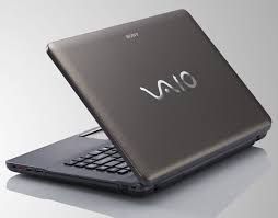 Sony Vaio Vpc Ca36Fg