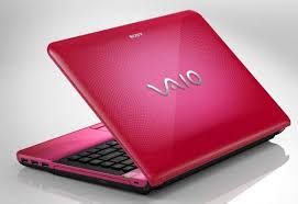 Sony Vaio Vpcel