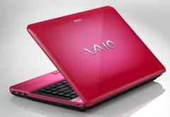  Sony Vaio Vpcs135Fx 