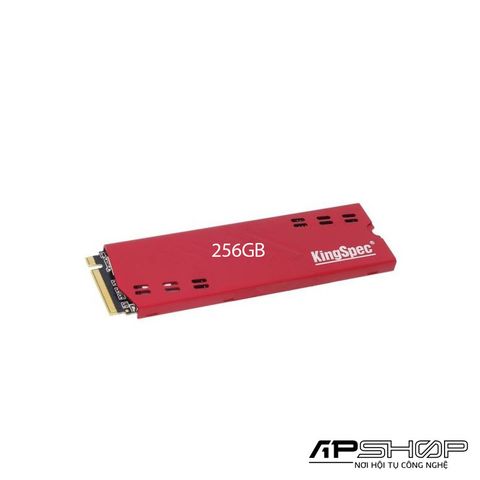 SSD KingSpec NE-256