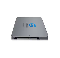  G-Bong 2.5 Sata 3 SSD 256GB 