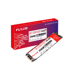 Flyjie M2 2280 120GB 