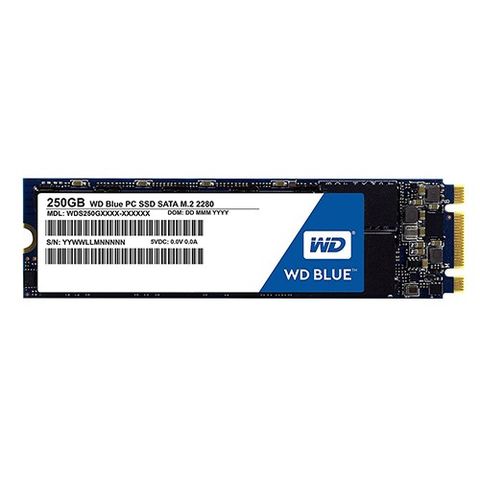 SSD Western 250GB M2 Blue