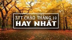  Stt hay về tháng 10 - Những câu nói hay về tháng 10 cho ngày cuối thu 