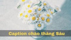  Stt tháng 6, Caption, câu nói hay về tháng 6 