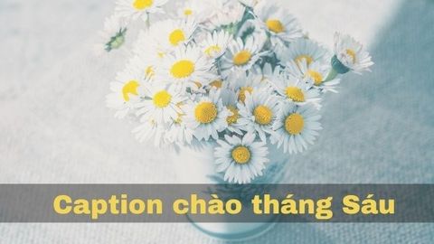 Stt chào tháng 6, Caption, câu nói hay về tháng 6