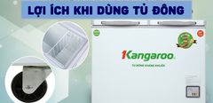  Những lợi ích khi sử dụng tủ đông, tủ mát để bảo quản thực phẩm 