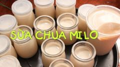  Cách làm sữa chua milo dẻo mịn, thơm ngon đơn giản tại nhà 