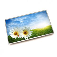  Sony Vaio Svs-13125Cg/W 