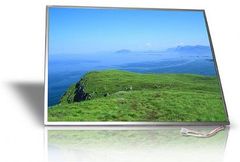  Màn Hình Lcd Sony Vaio Svs-13125Cv/P 