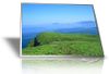 Màn Hình Lcd Sony Vaio Svs-13125Cv/P