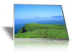 Sony Vaio Svs-13125Cv/R