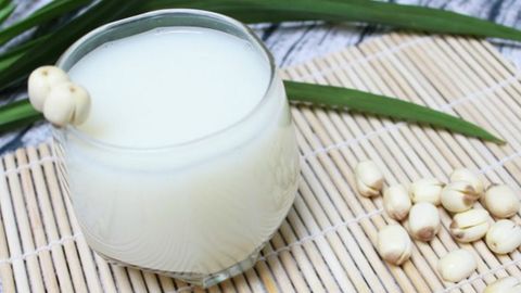 6 cách nấu sữa hạt sen ngon mê ly đơn giản bằng máy xay sinh tố
