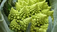  Romanesco broccoli - Súp lơ san hô có tác dụng gì? Chọn mua và cách nấu 