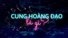  Cung hoàng đạo là gì? Bạn thuộc cung hoàng đạo nào? 