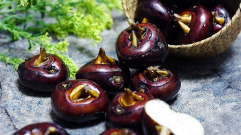 Củ năng là gì? Củ năng có tác dụng gì? Có nên ăn sống và lưu ý khi dùng