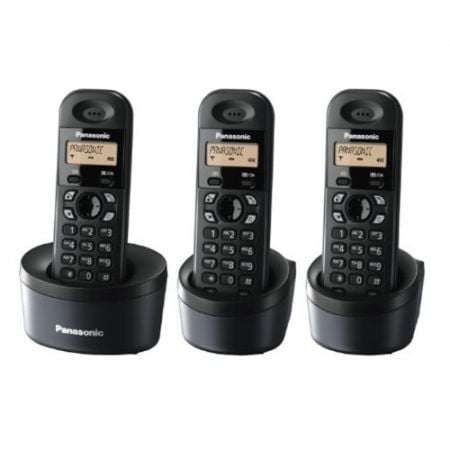 Điện thoại không dây Panasonic KX-TG 1313