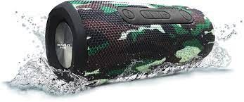 Loa Soundmax R-800