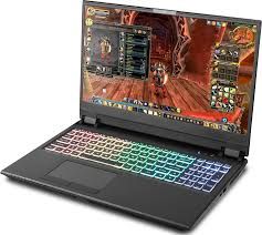  Sager Np2925 Clevo P955Et1 