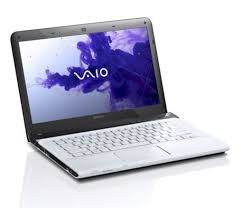 Camera Sony Vaio Sve-1411Cfx/W