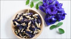  5 cách sử dụng hoa đậu biếc để pha trà, tạo màu, đá viên và món ăn ngon 