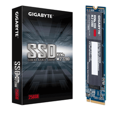  Gigabyte NVMe SSD Type 2280 256GB 