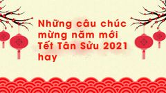  Những câu chúc mừng năm mới Tết Tân Sửu 2021 hay, ngắn gọn và ý nghĩa 