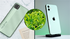  5 smartphone sở hữu màu 'Trà xanh' tươi mát, đang giảm giá ngon lành tới 3 triệu đồng, nhanh tay sắm ngay bạn nhé 