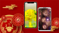  Mời bạn tải về bộ sưu tập hình nền Tết Tân Sửu 2021 siêu đẹp, dành cho mọi thiết bị iOS và Android 