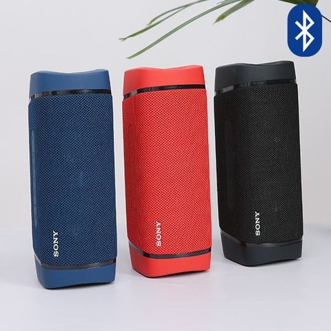 Loa bluetooth Sony Extra Bass SRS-XB33