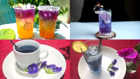 Tổng hợp 7 cách làm trà hoa đậu biếc thanh mát đẹp mắt dễ làm tại nhà