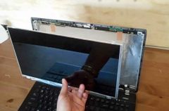  Màn Hình Lcd Lenovo Thinkpad P51 