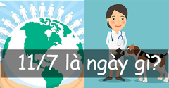  11/7 là ngày gì? Nguồn gốc và ý nghĩa những sự kiện vào ngày này 