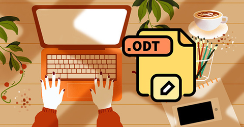 File ODT là gì? Cách mở và chuyển đổi file ODT sang PDF, DOCX đơn giản