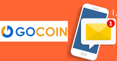  Hướng dẫn cách mua, lấy lại mã thẻ Gocoin bằng SMS nhanh chóng 