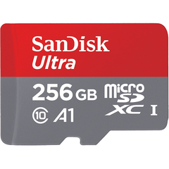  Sandisk Extreme Sd Uhs-I Card 256 Gb 