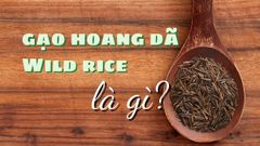 Gạo hoang dã - Wild rice là gì? Lợi ích của gạo hoang dã với sức khỏe 