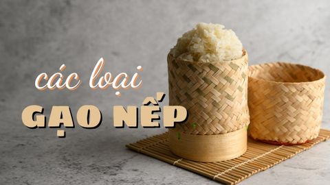 Tổng hợp các loại gạo nếp ngon được sử dụng phổ biến ở Việt Nam