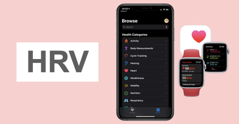 HRV trên Apple Watch là gì? Cách để theo dõi HRV trên thiết bị